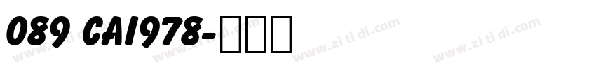 089 CAI978字体转换